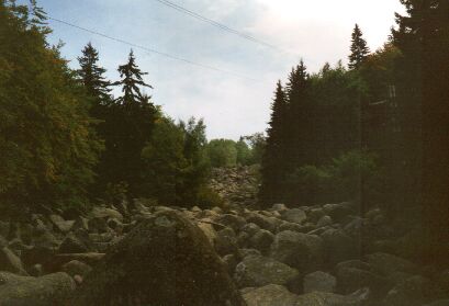 Near Sofia: Block field 'Golden Bridge' in the Vitosha mountains