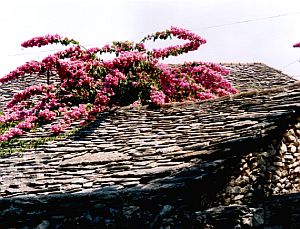 Old, traditional house made of stones only in Supetar