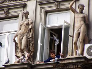 Bucharest: Feeding the pigeons