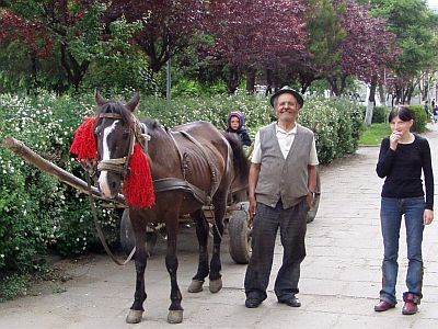 Still a common sight: Horse carts